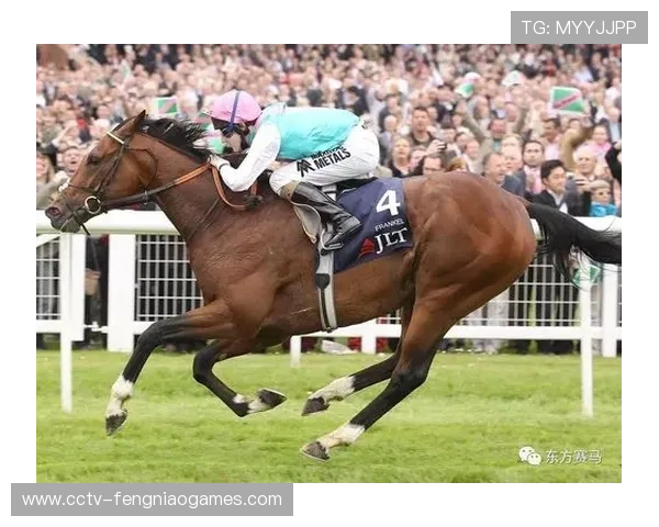 肖恩·奥马利透露2026年可能成为其职业生涯的退役之年